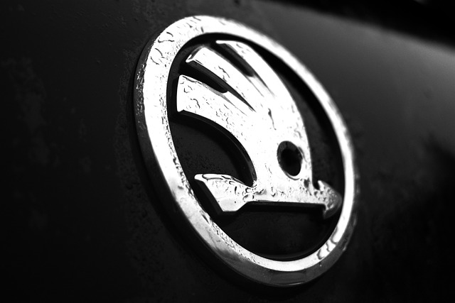 mokré logo Škoda